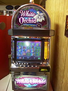 white orchid slot machine for sale