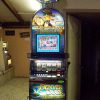 denver duck slot machine for sale